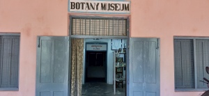 Botany-Museum-Photos-001