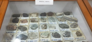 Geology-Museum-Photos-008