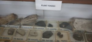 Geology-Museum-Photos-012
