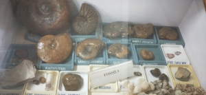 Geology-Museum-Photos-015