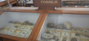 Geology-Museum-Photos-020