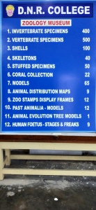 Zoology-Museum-Photos-002